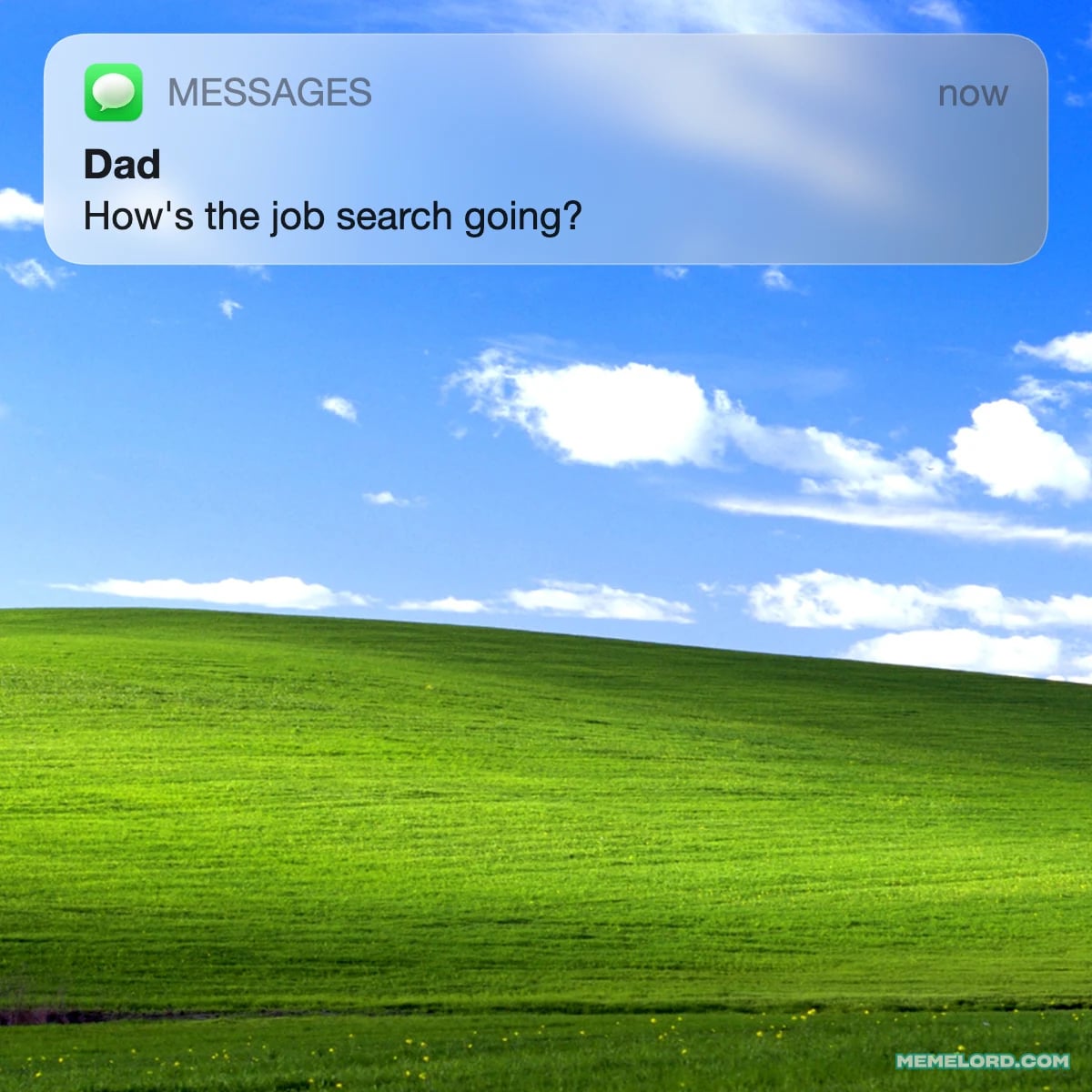 How's the Job Search Going? Meme